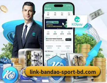 半岛体育体育网 APP 深度功能